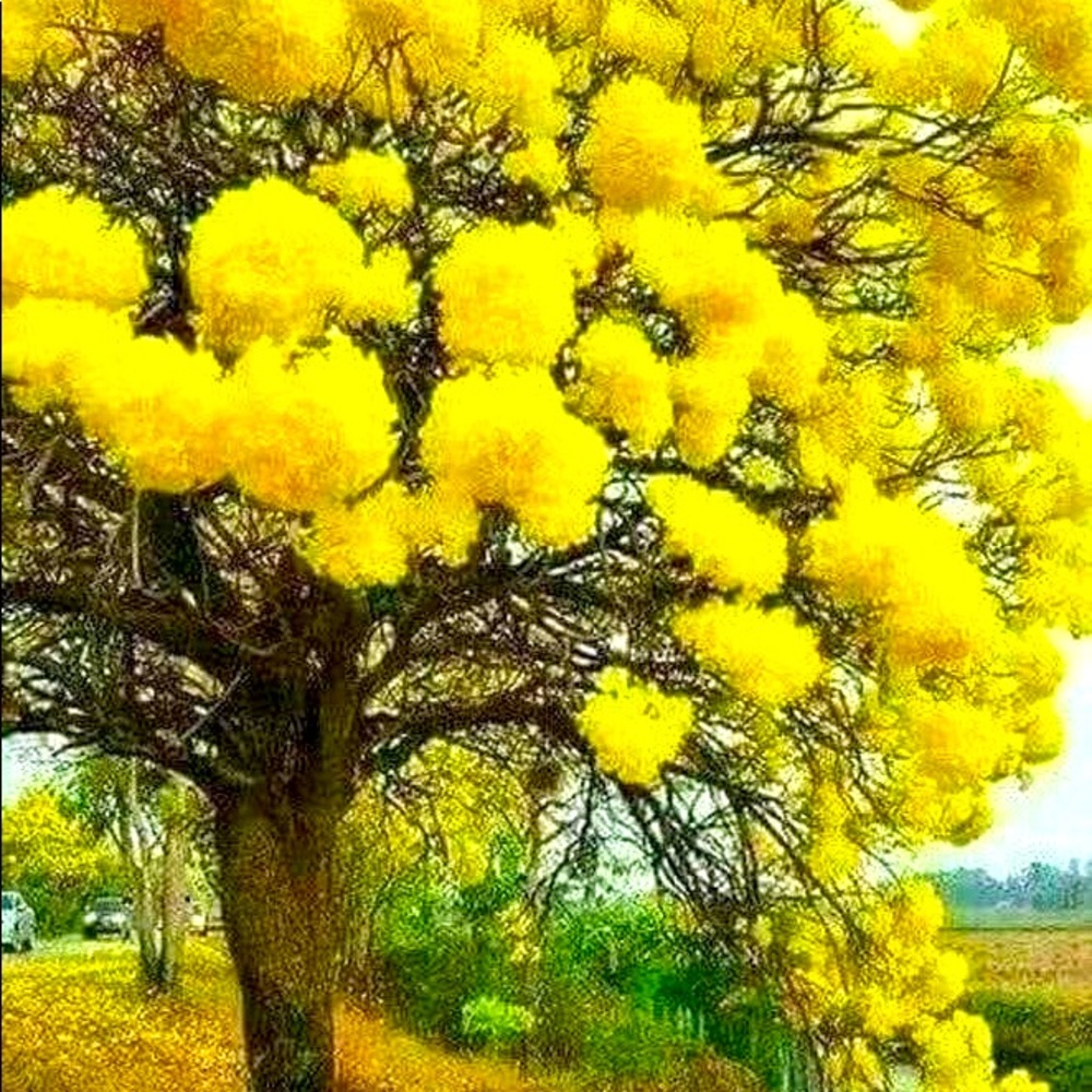 Meet your Posher, Andreia